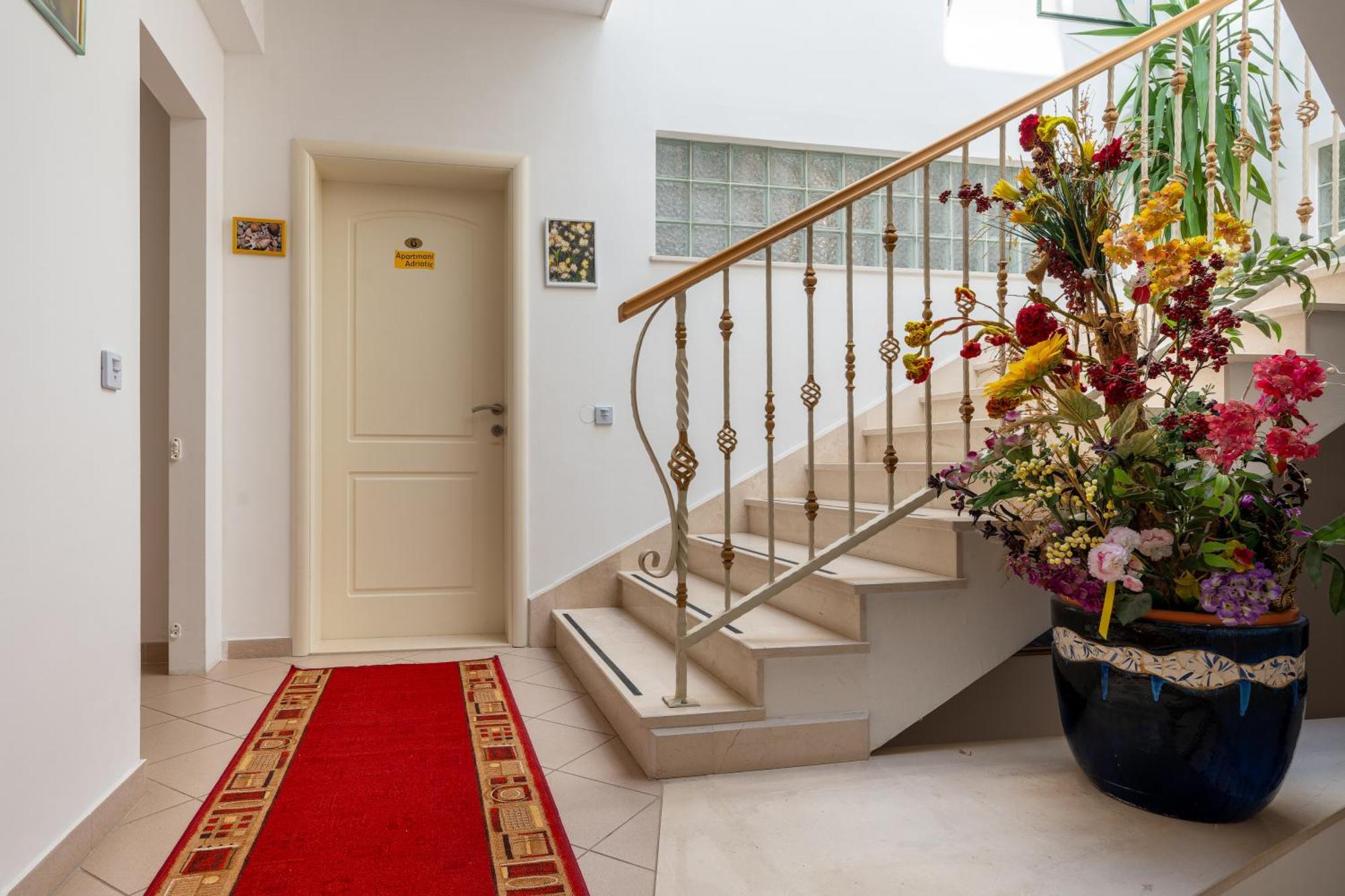 Adriatic Apartment 内乌姆 外观 照片