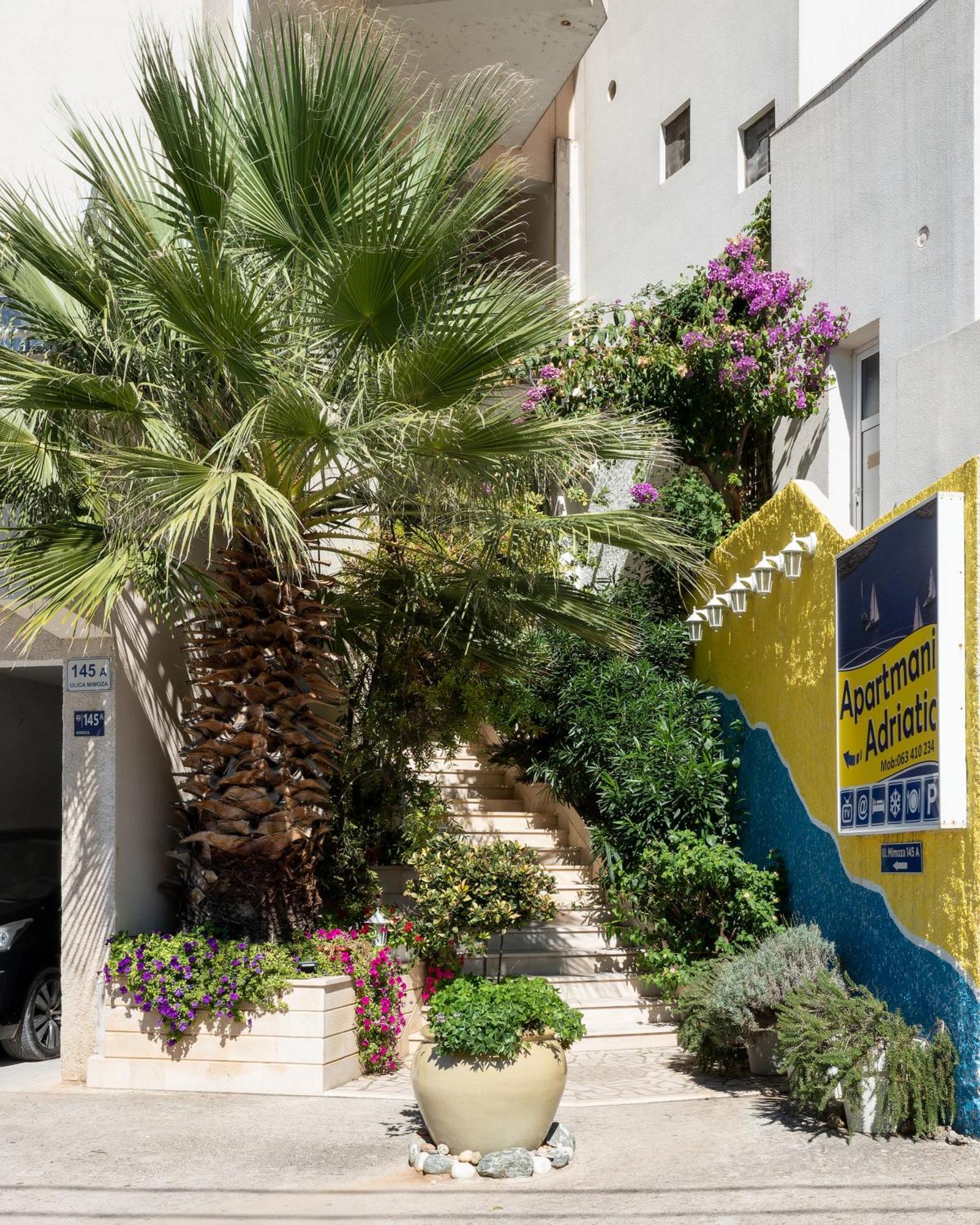 Adriatic Apartment 内乌姆 外观 照片