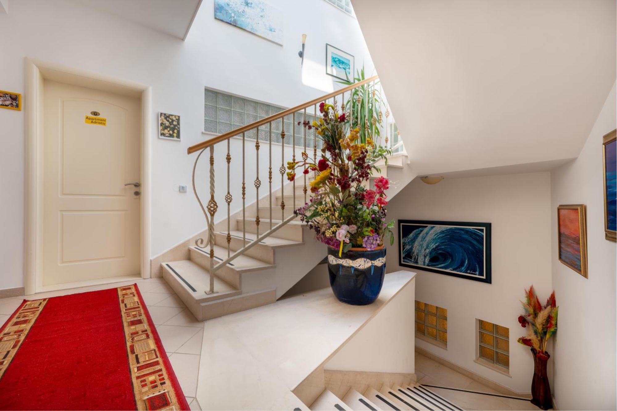 Adriatic Apartment 内乌姆 外观 照片